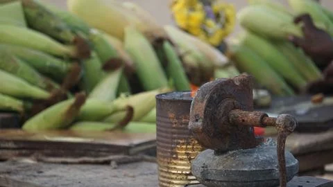 Corn roasting in a fire pit at the touristic spot 스톡 사진