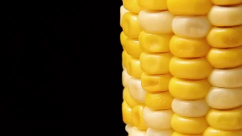 Corn rotates on a black background. Looped video Stock Footage 248237967