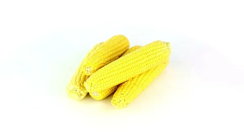 Corn rotates on a white background loop Stock Footage 40426691