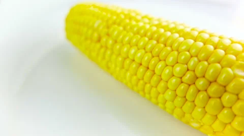 Corn Rotating on White Background Stock Footage 62466695