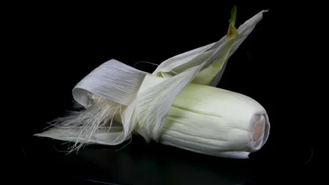 Corn rotation display on a black background Stock Footage 159688690