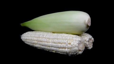 Corn rotation display on a black background Stock Footage 159688720
