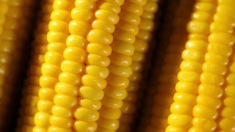 Corn rotation Stock Footage 82015980