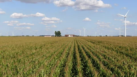 Corn Rows, Farmhouse, Windmills 動画素材 289783309