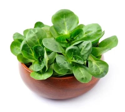 Corn salad Stock Photos