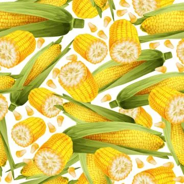 Corn seamless pattern Illustrazione stock