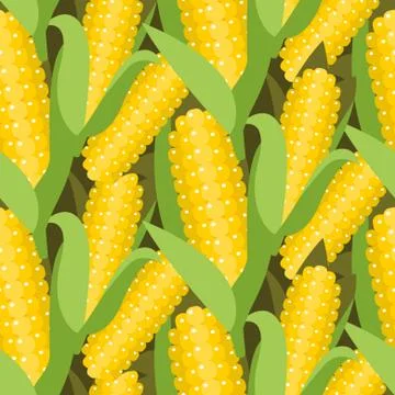 Corn seamless pattern vector illustration. Maize ear or cob Stock Illustration