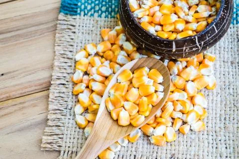 Corn seed Stock Photos
