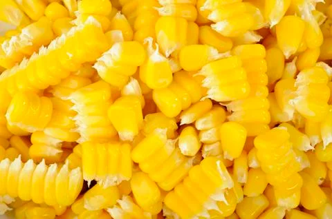 Corn seeds background Stock Photos