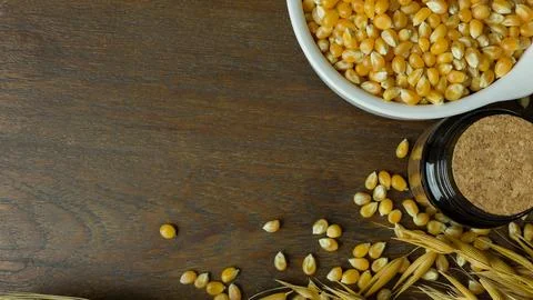 Corn seeds close up background image. Stock Photos