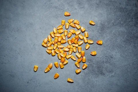 Corn seeds close up 库存照片