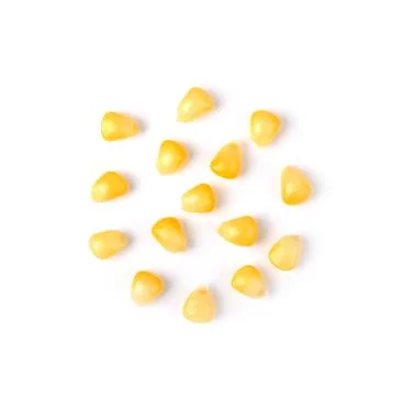 Corn seeds isolated on white background. Top view Stock Photos