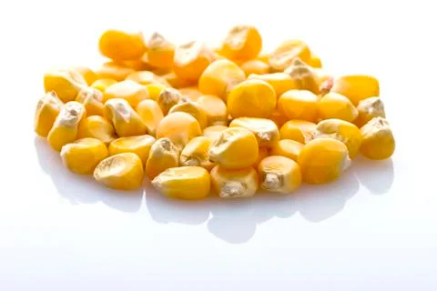Corn seeds isolated on white Stock Photos