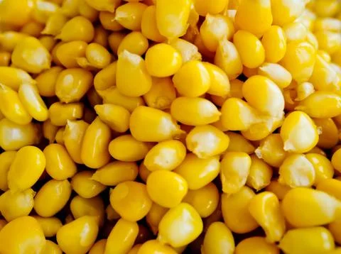 Corn seeds Stock Photos