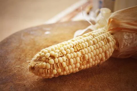 Corn seeds. Stock Photos