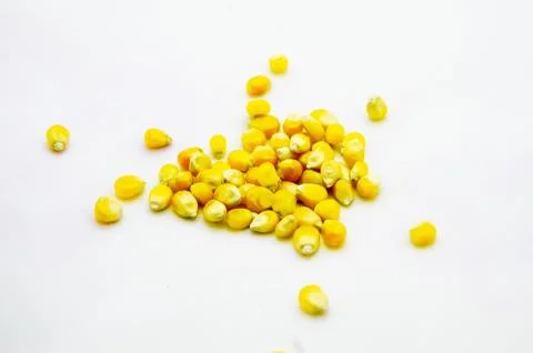 Corn seeds Stock Photos