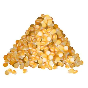 Corn seeds pile side view on white background Stock Illustration