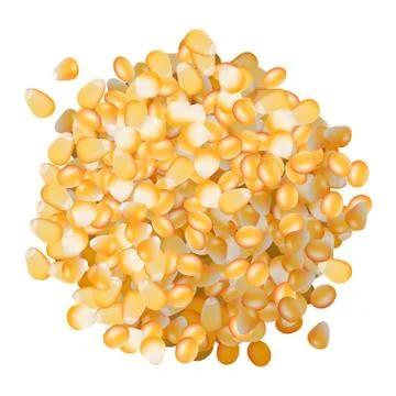 Corn seeds pile top view on white background Stock Illustration