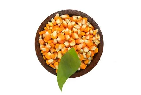 Corn seeds top view Stock Photos