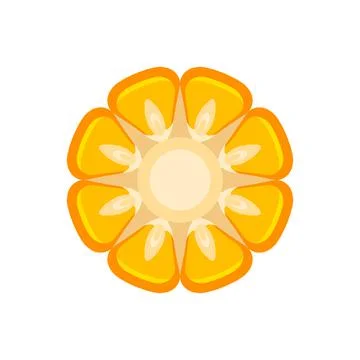 Corn seeds vector cartoon flat illustration isolated on white background. In  Stock Illustration