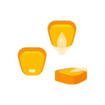 Corn seeds vector cartoon flat illustration isolated on white background. Ker Stock Illustration