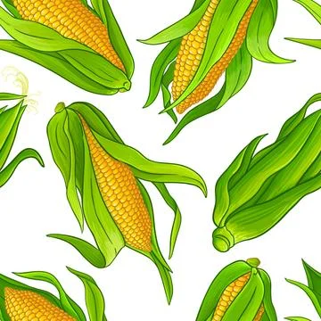 Corn seeds vector pattern on white background Stock Illustration