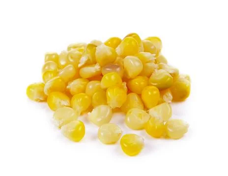 Corn seeds on white background Stock Photos