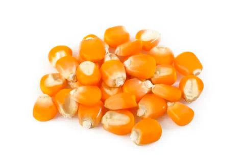 Corn seeds on white Stock Photos