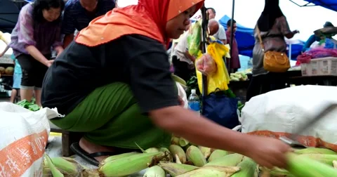 Corn Seller. Stock-Footage 55446585