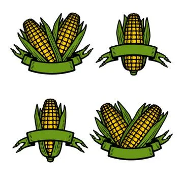 Corn set. Collection icon corn. Vector Stock Illustration