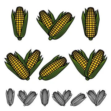 Corn set. Collection icon corn. Vector Stock Illustration