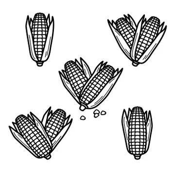 Corn set. Collection icon corn. Vector Stock Illustration