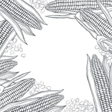 Corn set. Vector illustration. Stock Illustration