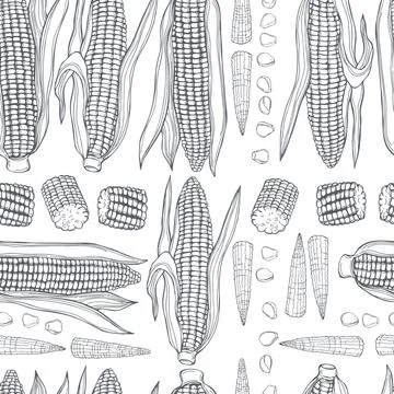 Corn set. Vector pattern Stock Illustration