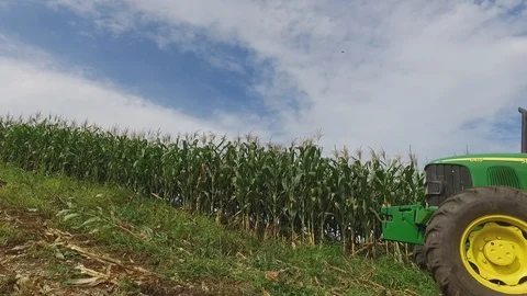 Corn Silage at the farm 库存影片 92695113