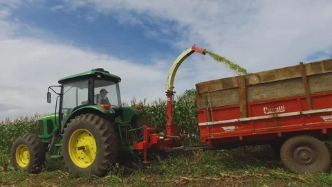 Corn Silage with machines Stock-Footage 92695083