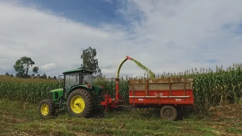 Corn Silage production 库存影片 92695067