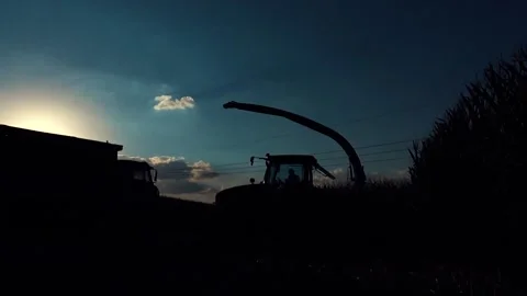 Corn silage. tractor. Harvest corn harvester and tractor in corn. 库存影片 130963584