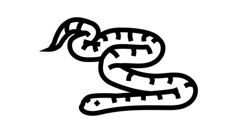 Corn snake animal snake line icon animation Stock Footage 326132765