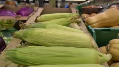 Corn sold in the supermarket Stock Footage 139515829