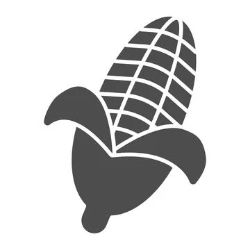 Corn solid icon, Thanksgiving Day concept, Corncob sign on white background 스톡 일러스트