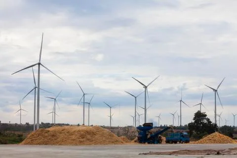 Corn sorting machine is working. Stock Photos