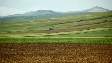 Corn sowing Stock Footage 720678