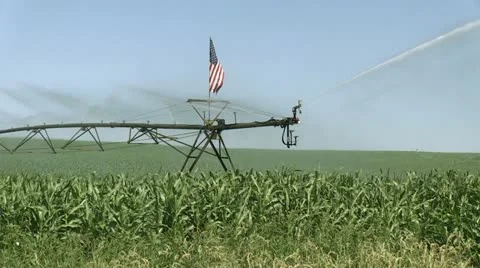 Corn Sprinkler w Flag Video stock 11685183