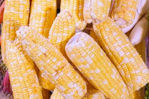 Corn stacks Foto stock