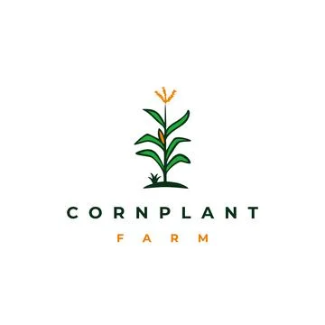 Corn stalk, corn tree, corn plant logo design vector illustration Stock Illustration