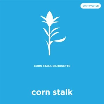 Corn stalk icon isolated on blue background Illustrazione stock gratuita