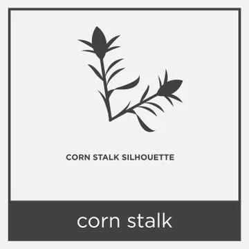 Corn stalk icon isolated on white background Illustrazione stock gratuita