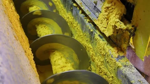 Corn starch on a conveyor in food processing plant Stock Footage 145227617