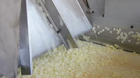 Corn starch flakes on a conveyor belt in food processing plant Video stock 145201097
